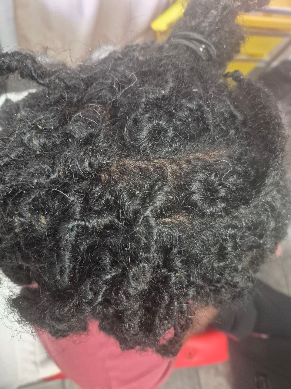 Locs Interlocking hairstyle in Tucson - Dreadlocs by Milly's FAB