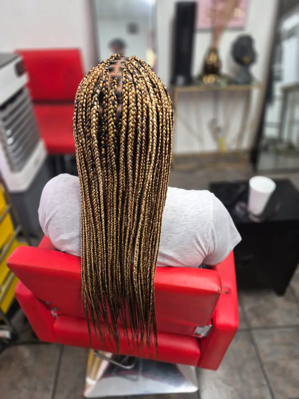 Regular Box Braids - Style 2
