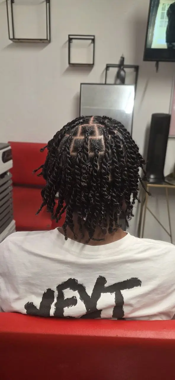 Two-Strand Twist - Image 3