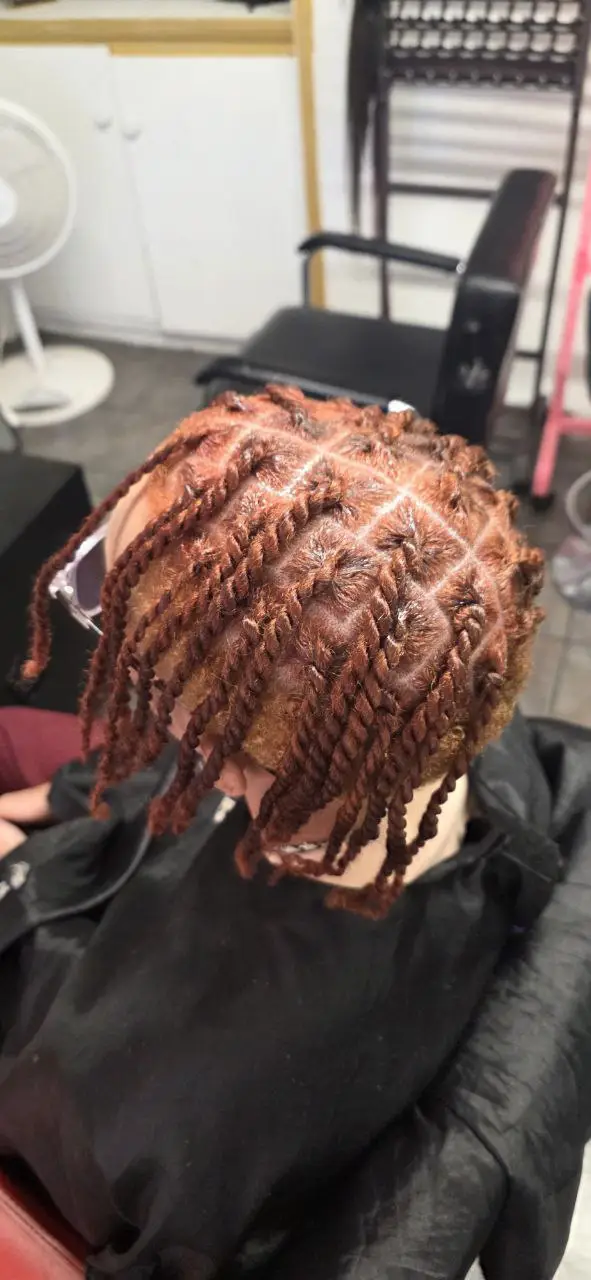 Two-Strand Twist - Image 6